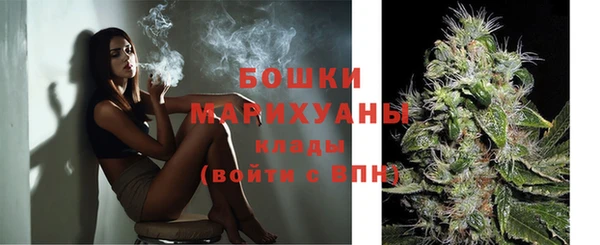 PSILOCYBIN Михайловск