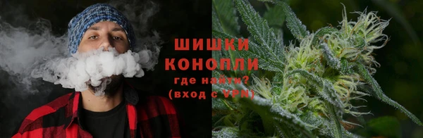 PSILOCYBIN Михайловск